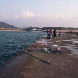 まぁまぁのサイズのアジ