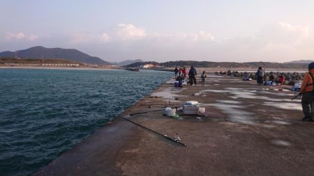 まぁまぁのサイズのアジ