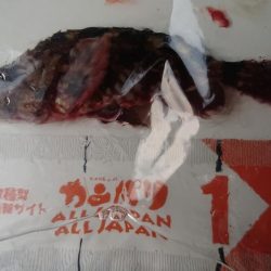 花見カレイ、アイナメ狙い