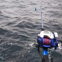 大アジに大満足‼️