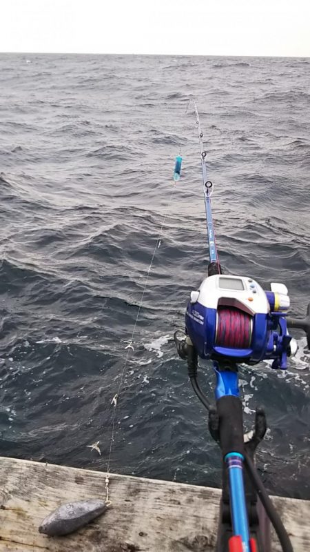 大アジに大満足‼️