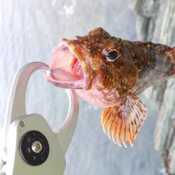 春が来たのかな?