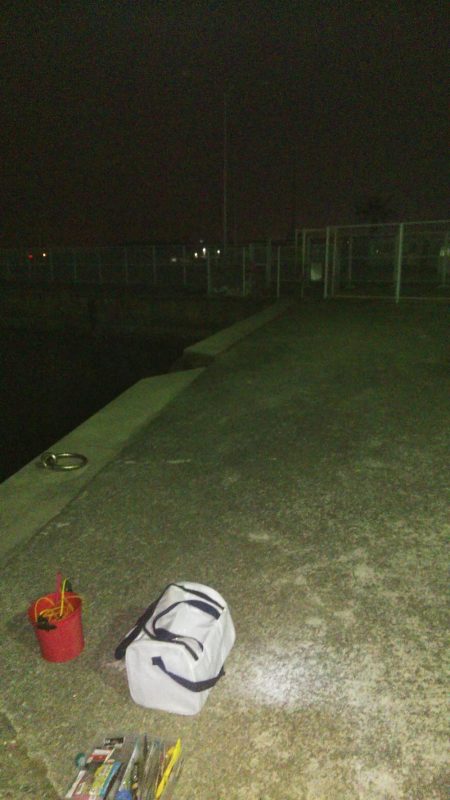 深日漁港 メバリング