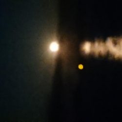 ヤリイカエギング