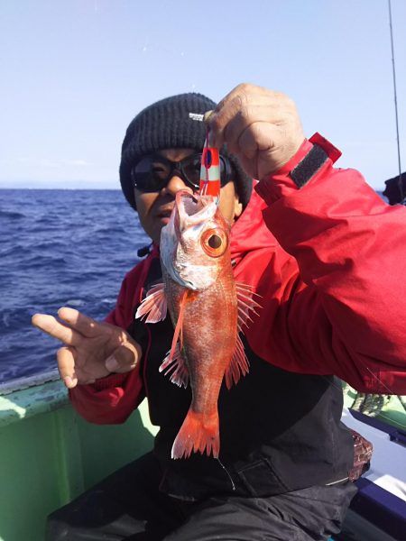 御前崎港遊漁船・康仁丸・ジギング釣り果