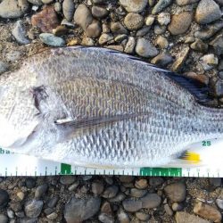 大荒れの中の一本