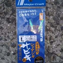 寒サバ狙いでショアジギサビキ