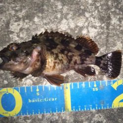 初めての場所でライトゲーム