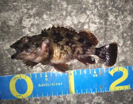 初めての場所でライトゲーム