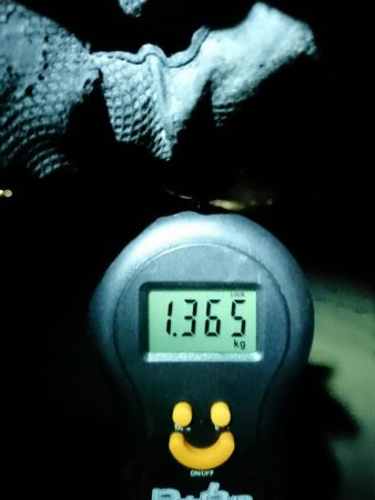 やっとこさキロオーバー出た。。(;´Д`)≡3