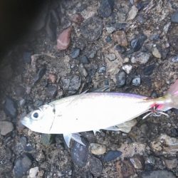 風でルアーが飛びません