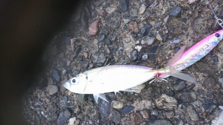 風でルアーが飛びません