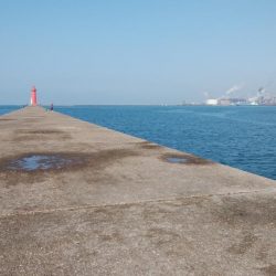 今回も播磨新島へキス釣査