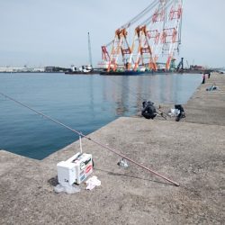 播磨新島のキス釣り
