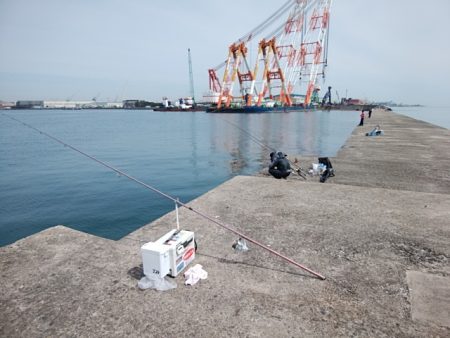 播磨新島のキス釣り
