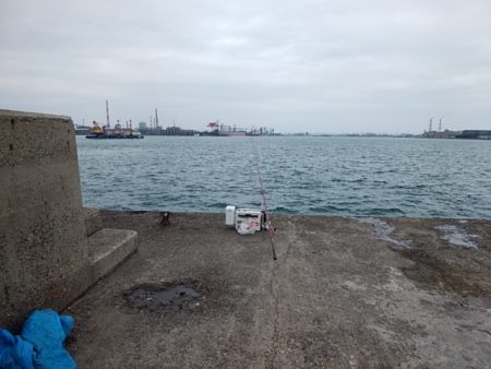 播磨新島のキス情報