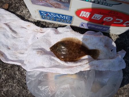 播磨新島のキス情報