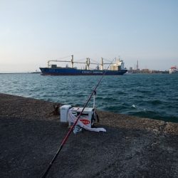 大荒れの播磨新島でキス爆釣