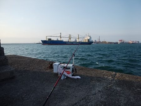 大荒れの播磨新島でキス爆釣