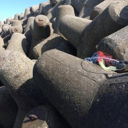 カレイ釣りに挑戦