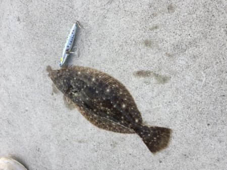 ライトショアジギング