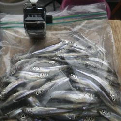 山中湖　湖明荘マリーナ