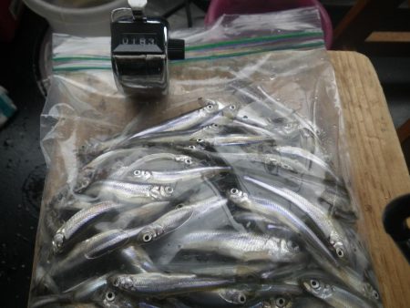 山中湖　湖明荘マリーナ