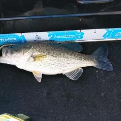 春シーズンイン