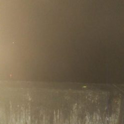 手作りの塩ささみでヒイカ1杯のみ・・・