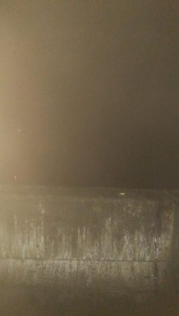 手作りの塩ささみでヒイカ1杯のみ・・・