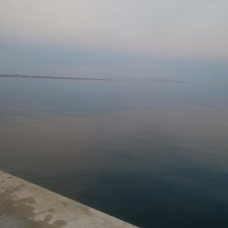 胴長25センチのヤリイカ3杯！