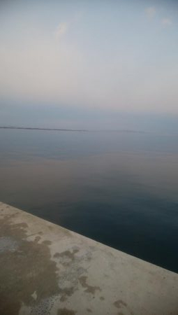 胴長25センチのヤリイカ3杯！