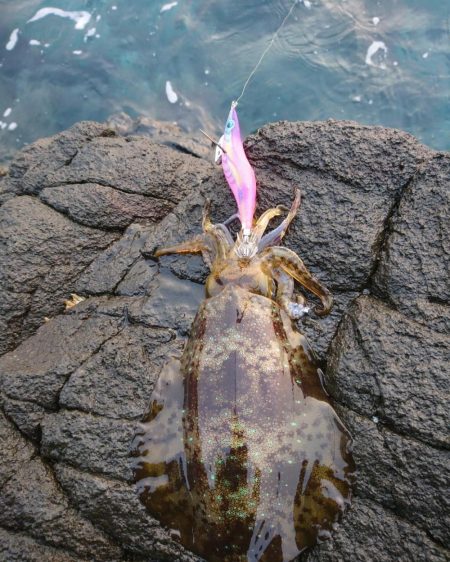 爆風覚悟で出撃