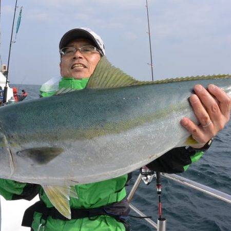 アルバトロスで鰤好調