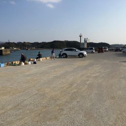 時合い無し 坊主か1匹