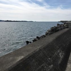 コアジ28㎝含む35匹