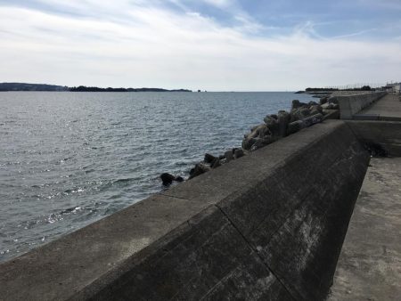 コアジ28㎝含む35匹