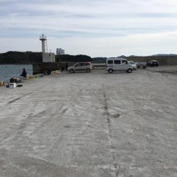 今日も好調　アジ33匹