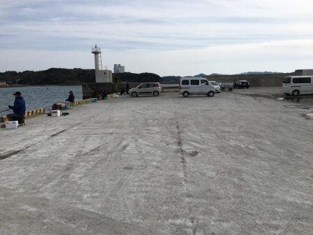 今日も好調　アジ33匹