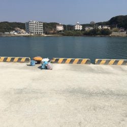 アジの地合い無し