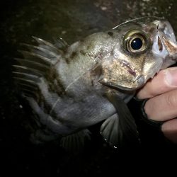 諦めたらそこで試合終了ですよ。