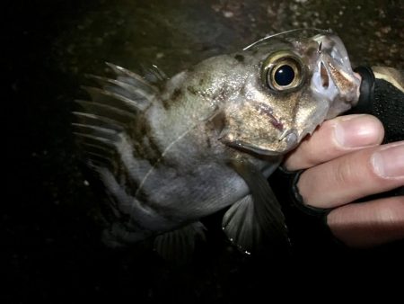諦めたらそこで試合終了ですよ。
