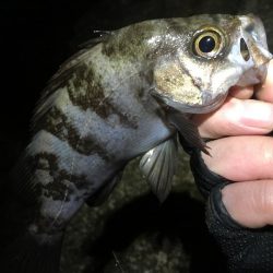 何処も鉄壁のディフェンスっ!!