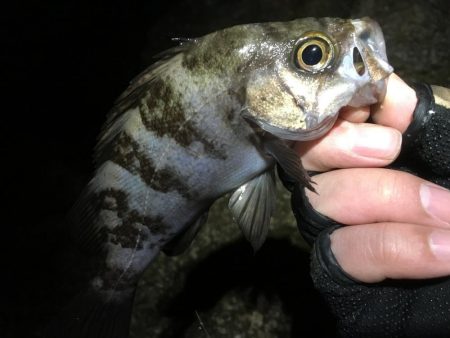 何処も鉄壁のディフェンスっ!!