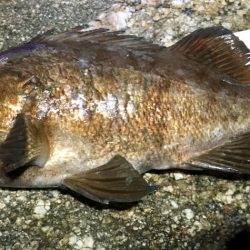 自己記録更新っ!!