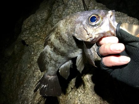 雨の中、また淡路島!