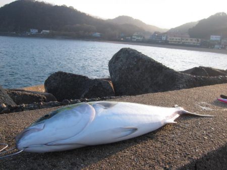 加太の小波止でハマチゲット！！