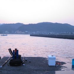 加太大波止の内側でも青物は釣れる