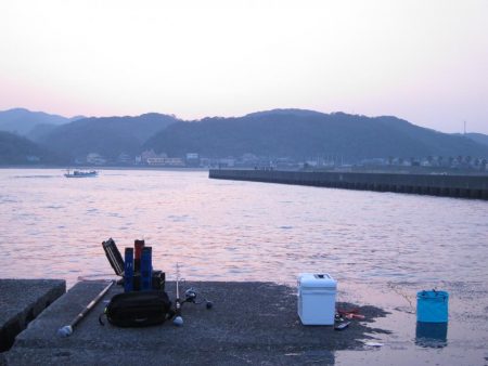 加太大波止の内側でも青物は釣れる