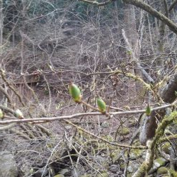 暖かくなったけど、渇水